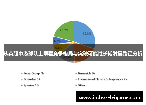 从英超中游球队上限看竞争格局与突破可能性长期发展路径分析