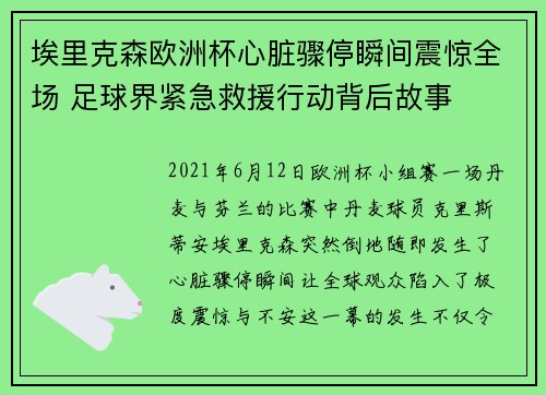 埃里克森欧洲杯心脏骤停瞬间震惊全场 足球界紧急救援行动背后故事