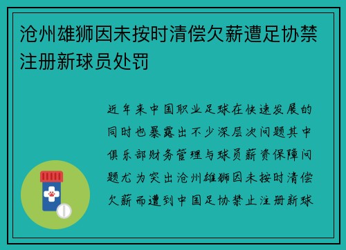 沧州雄狮因未按时清偿欠薪遭足协禁注册新球员处罚